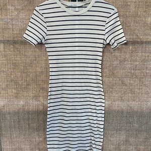 Zara Fitted Stripe Dress